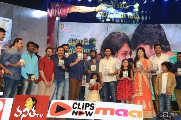 Krishna Gadi Veera Prema Gaadha Movie Audio Launch